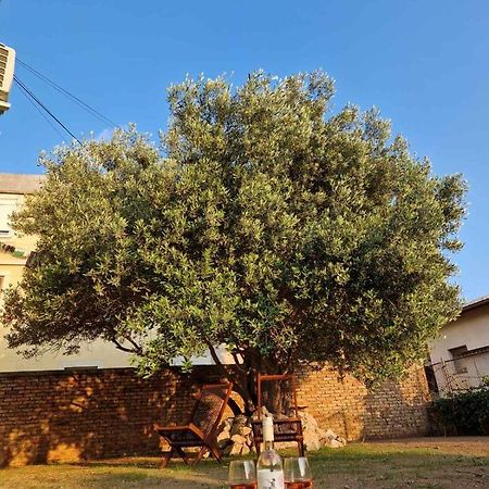 Apartmani Studio Apartmani Senjska Maslina Senj  Dış mekan fotoğraf