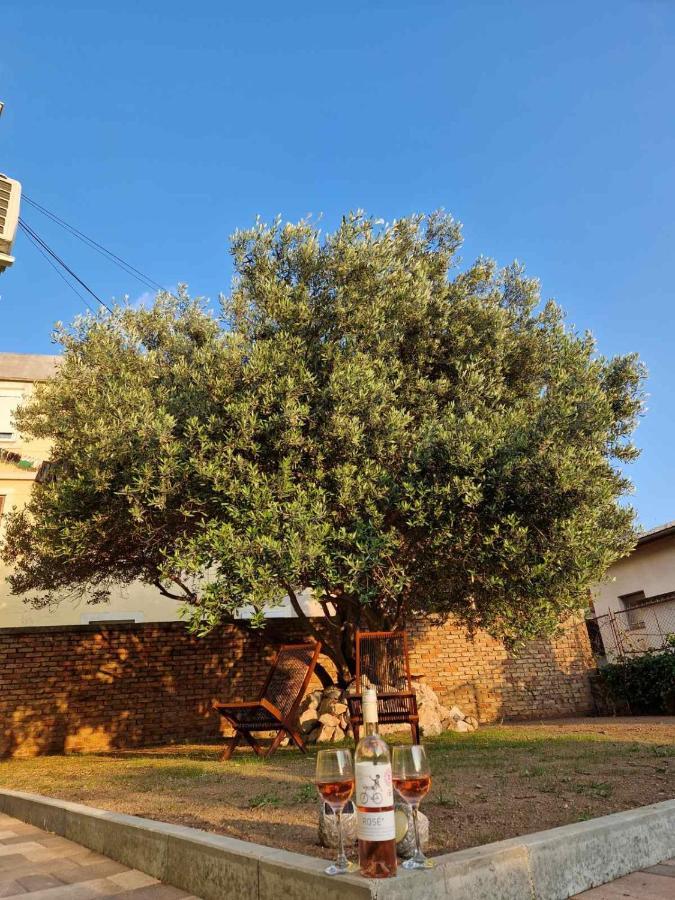 Apartmani Studio Apartmani Senjska Maslina Senj  Dış mekan fotoğraf