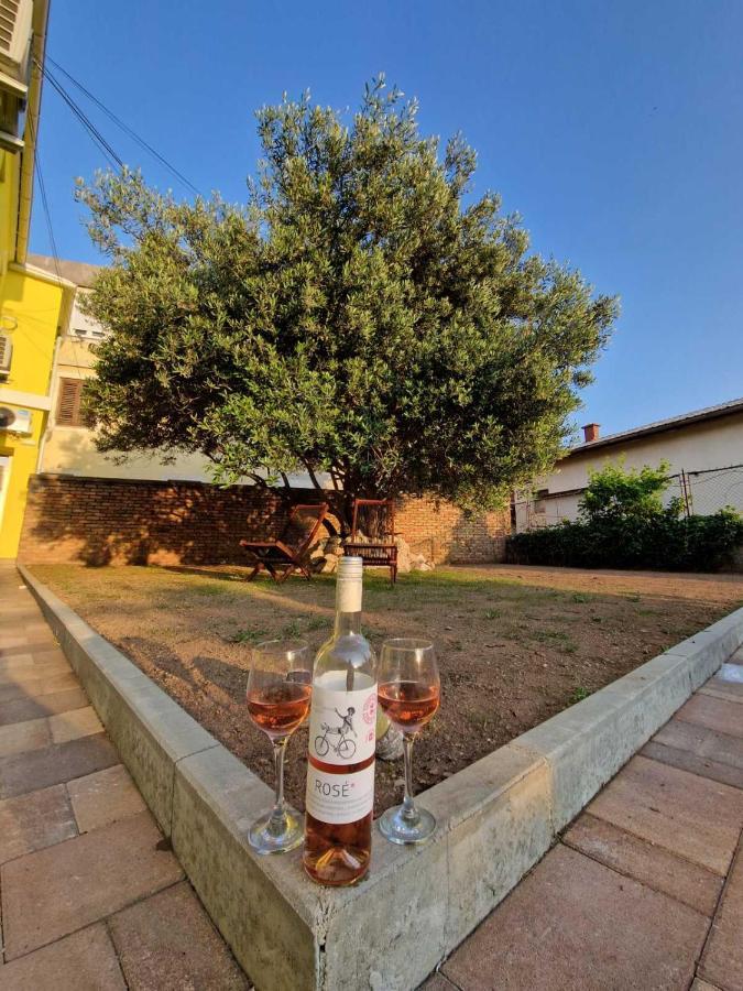 Apartmani Studio Apartmani Senjska Maslina Senj  Dış mekan fotoğraf