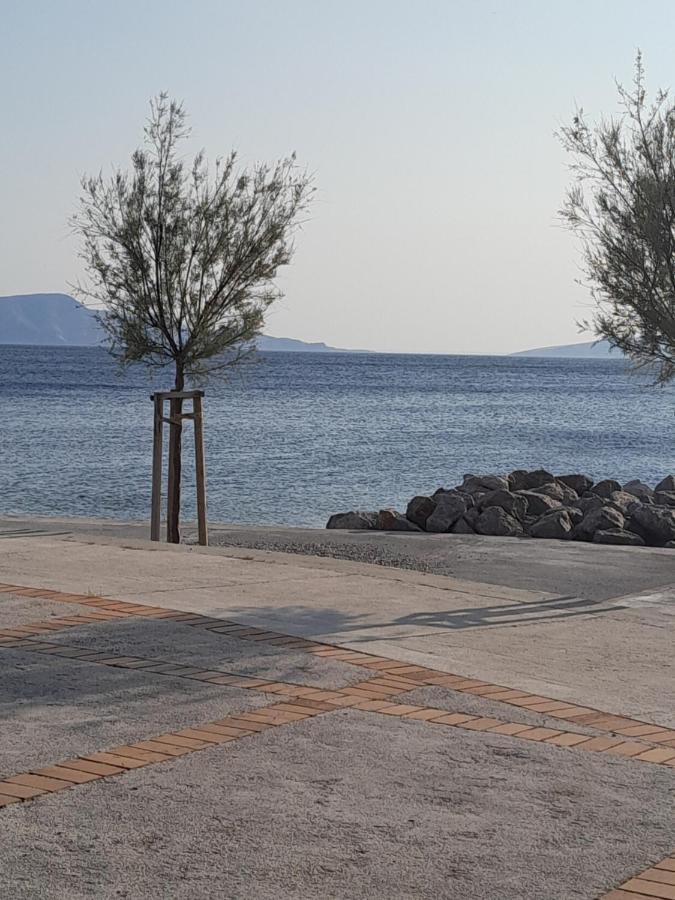 Apartmani Studio Apartmani Senjska Maslina Senj  Dış mekan fotoğraf