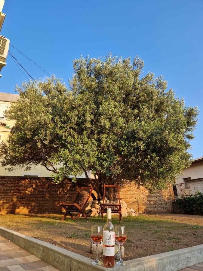 Apartmani Studio Apartmani Senjska Maslina Senj  Dış mekan fotoğraf