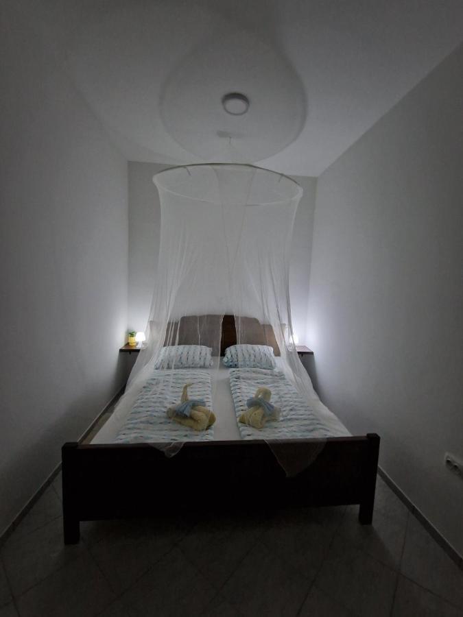 Apartmani Studio Apartmani Senjska Maslina Senj  Dış mekan fotoğraf